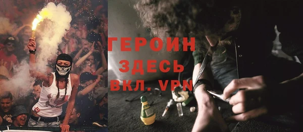 дживик Няндома
