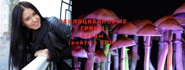 ECSTASY Осинники