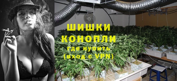 сатива Осташков