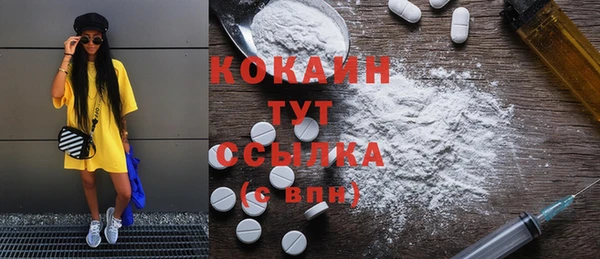 2c-b Каменка