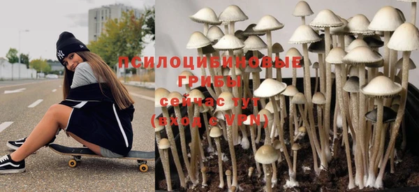 ECSTASY Осинники