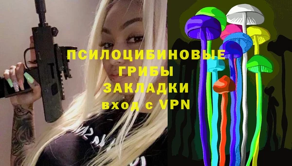 сатива Осташков