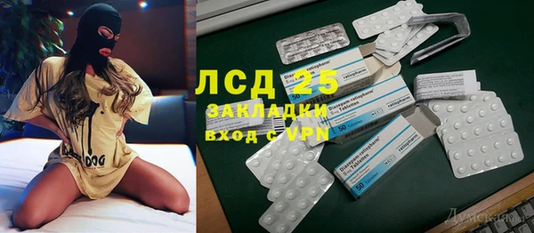 дживик Няндома