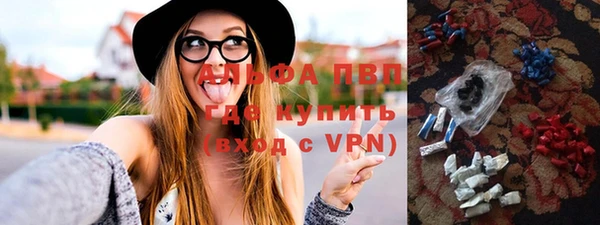дживик Няндома
