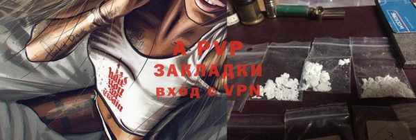 ECSTASY Осинники