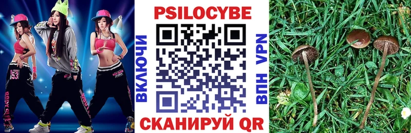 Галлюциногенные грибы мухоморы  Нытва 